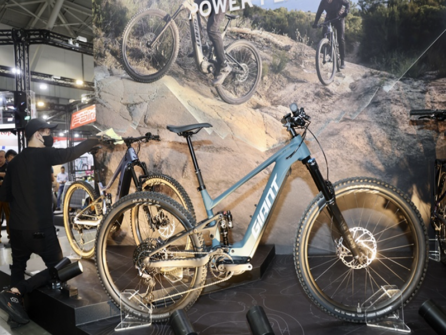 Taiwan's Darfon Electronics optimistic about electric bike market